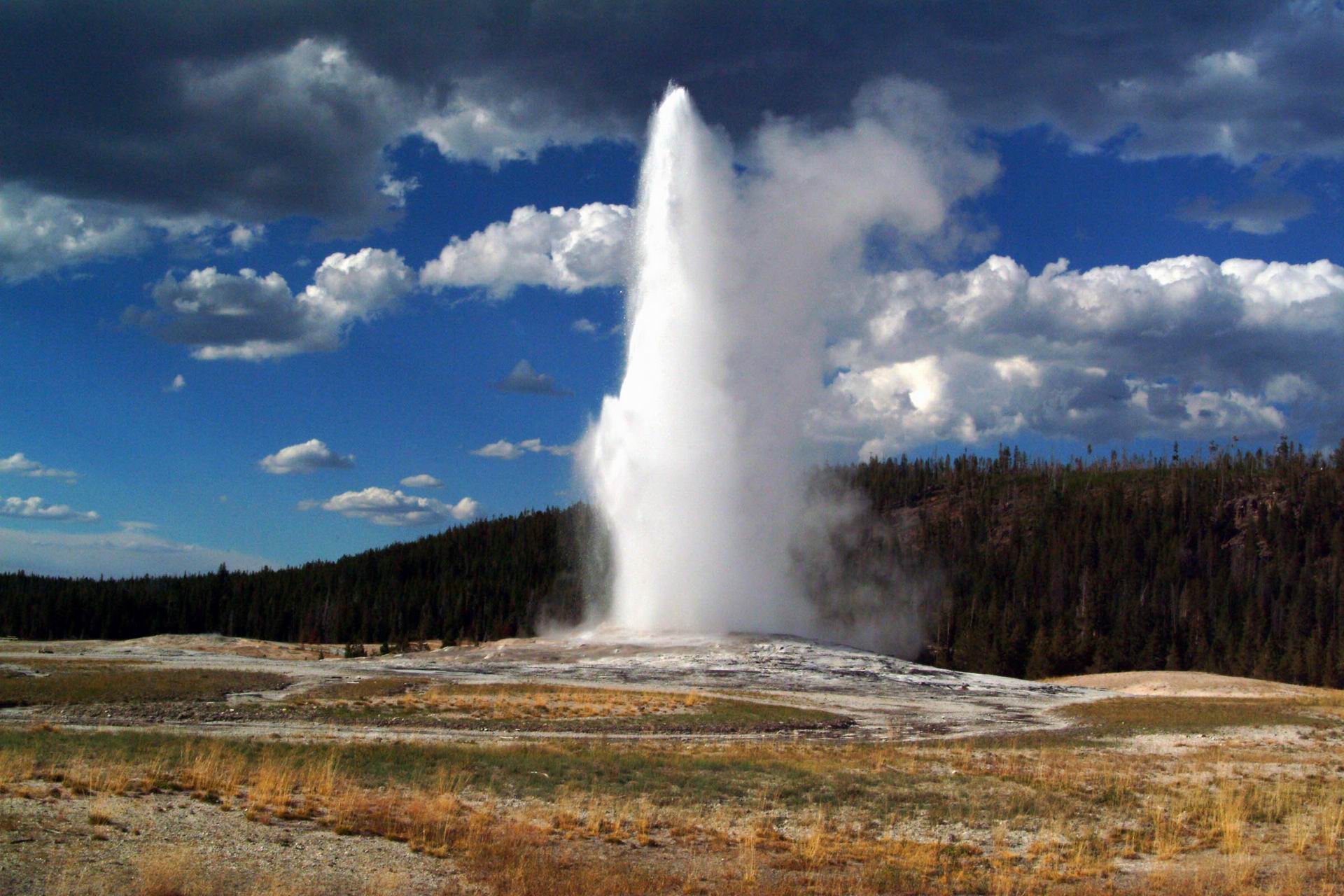 Yellowstone